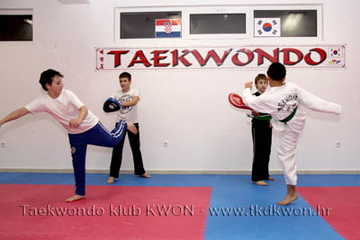 taekwondo kwon training